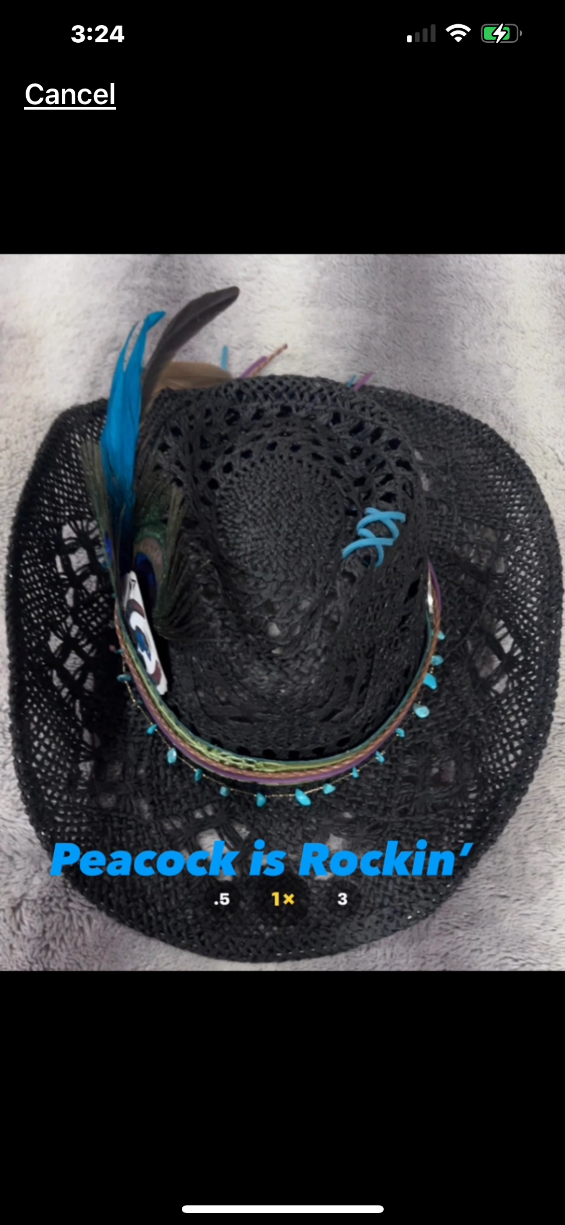 Peacock hat